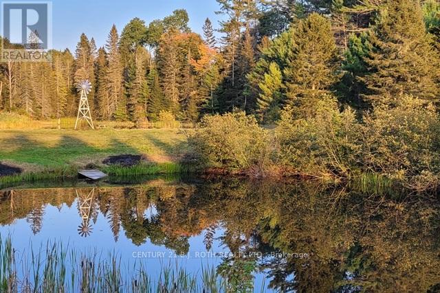 669 Rye Road, Parry Sound, Ontario  P0A 1X0 - Photo 32 - X12353410