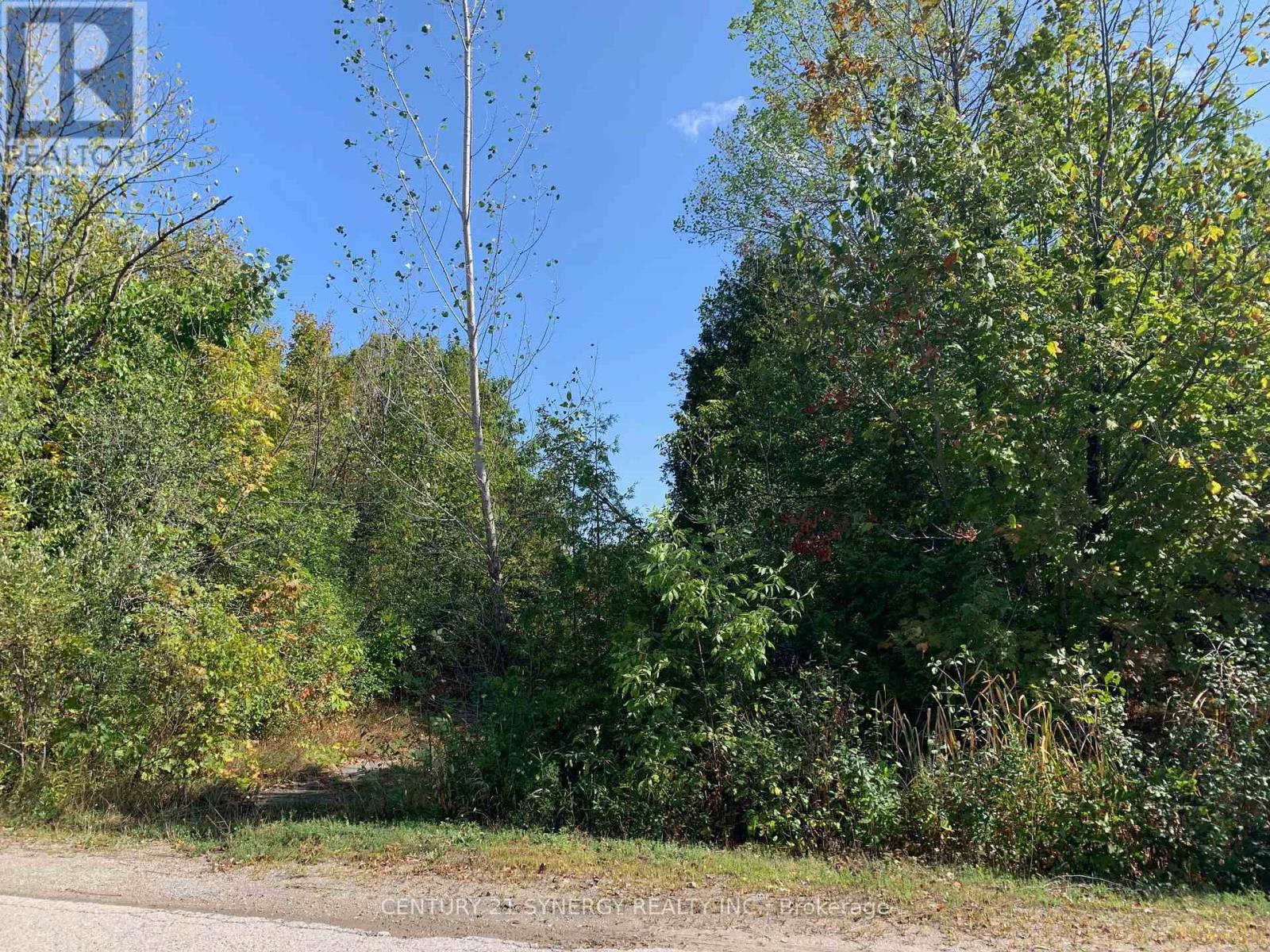 00 Basswood Crescent, Rideau Lakes, Ontario  K7A 5B8 - Photo 4 - X12376045