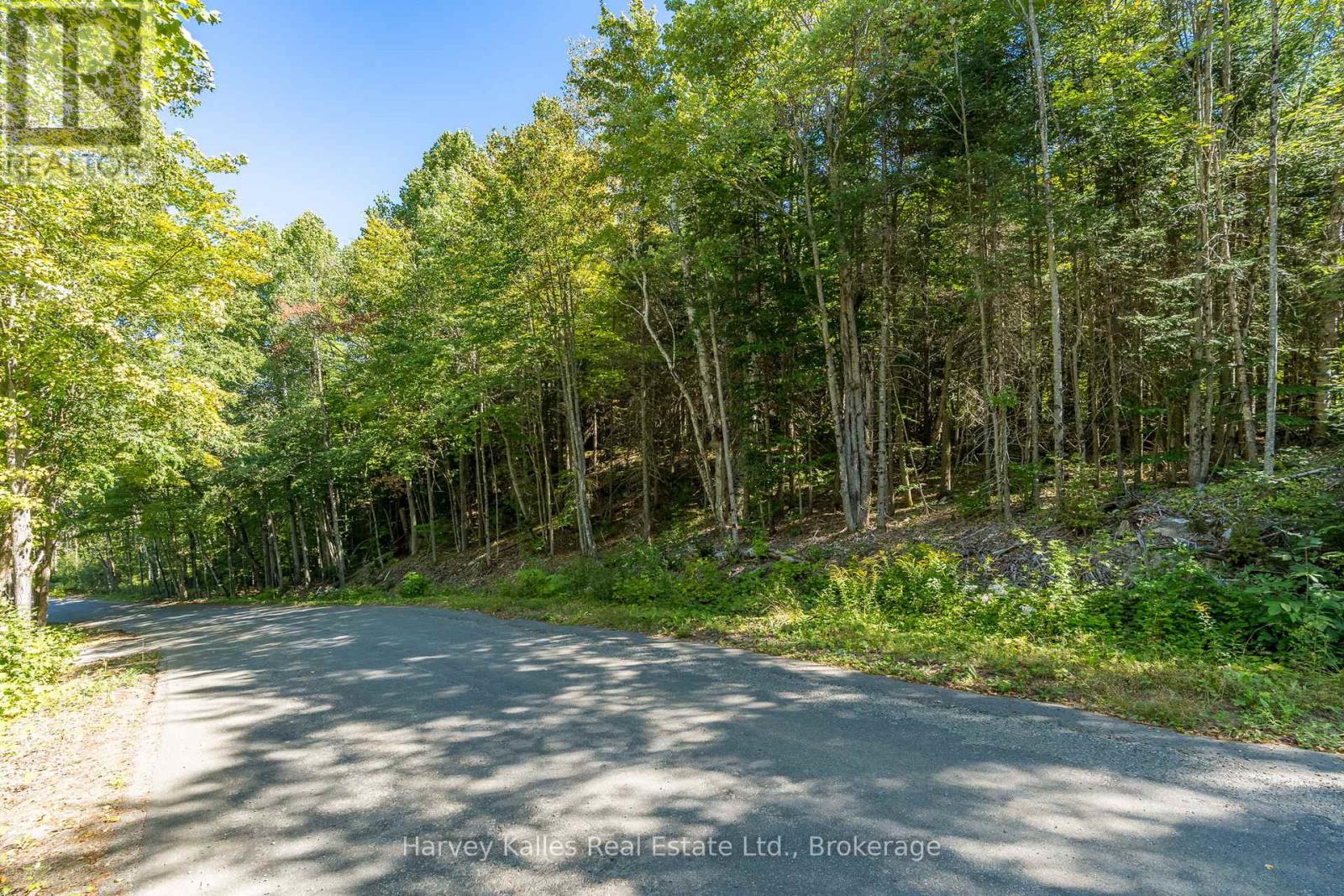 0 East Walker Lake Road, Lake Of Bays (Sinclair), Ontario  P1H 2J6 - Photo 3 - X12385209