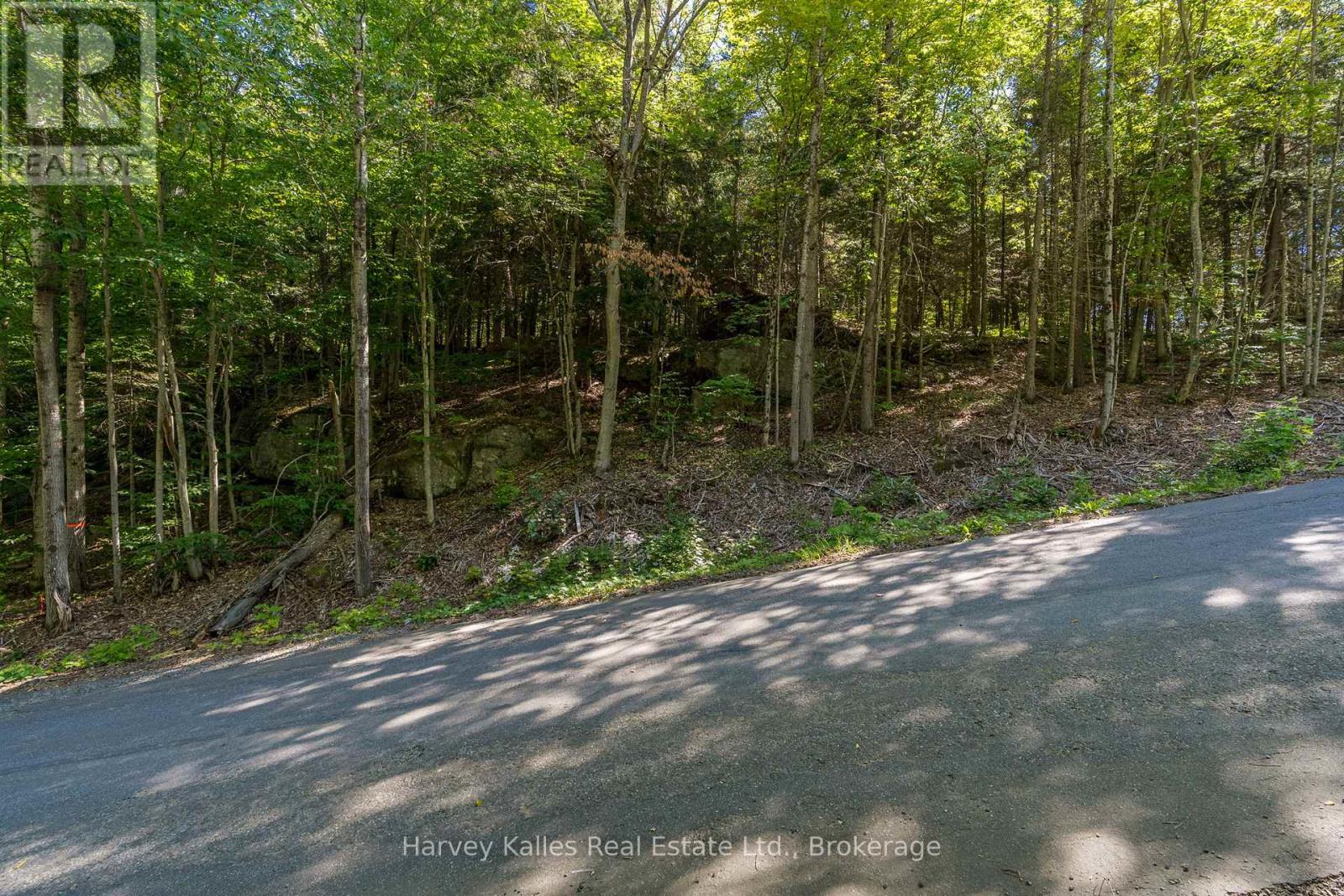 0 East Walker Lake Road, Lake Of Bays (Sinclair), Ontario  P1H 2J6 - Photo 6 - X12385209
