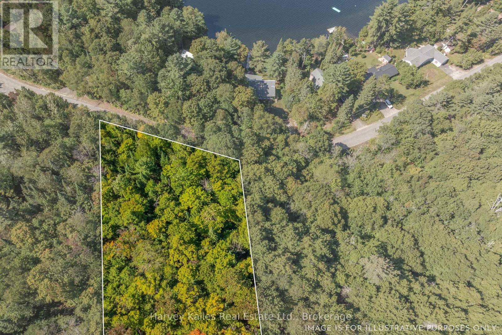 0 East Walker Lake Road, Lake Of Bays (Sinclair), Ontario  P1H 2J6 - Photo 7 - X12385209