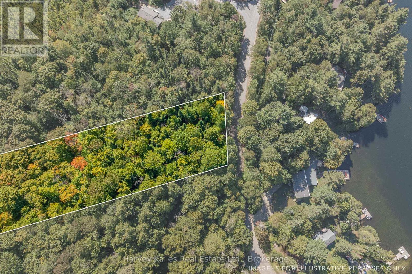 0 East Walker Lake Road, Lake Of Bays (Sinclair), Ontario  P1H 2J6 - Photo 8 - X12385209