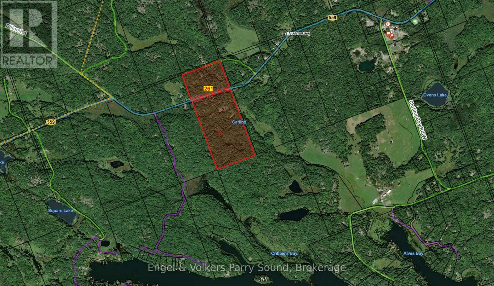 261 Highway 559, Carling, Ontario  P0G 1G0 - Photo 16 - X12385236