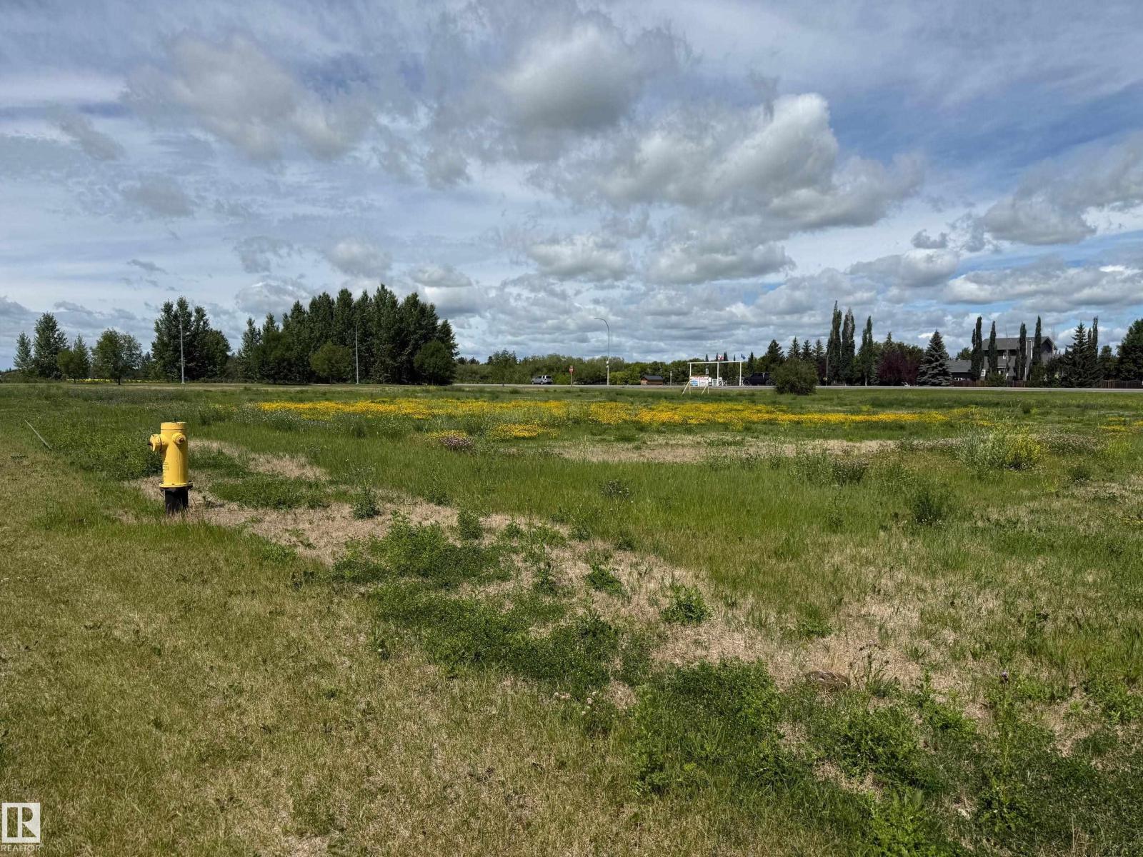 5225 50 Av, Calmar, Alberta  T0C 0V0 - Photo 6 - E4456419