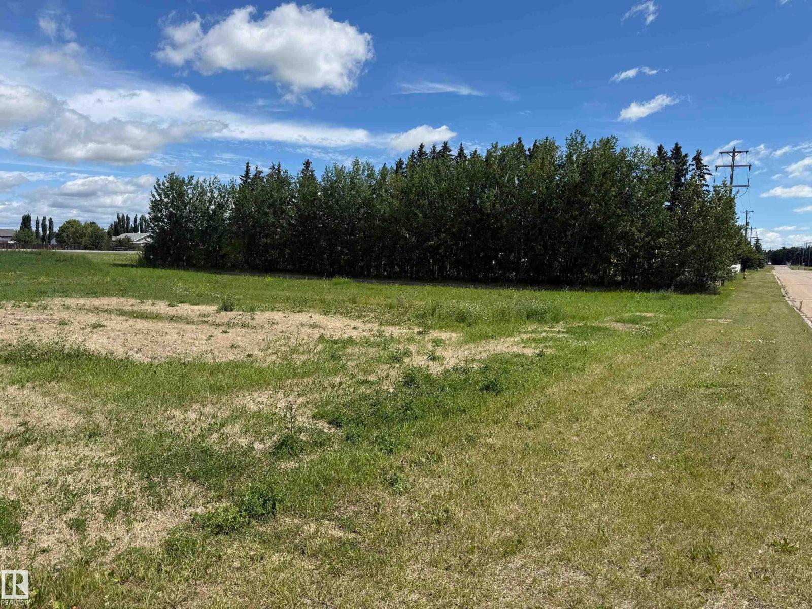 5225 50 Av, Calmar, Alberta  T0C 0V0 - Photo 8 - E4456419