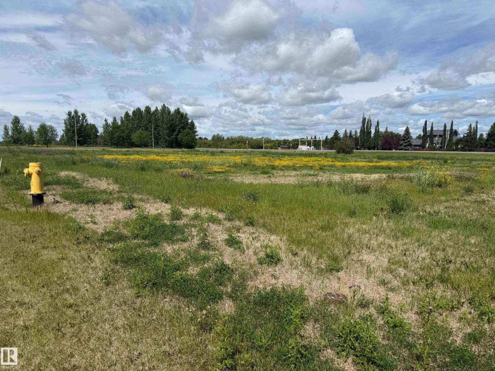 5225 50 Av, Calmar, Alberta  T0C 0V0 - Photo 9 - E4456419
