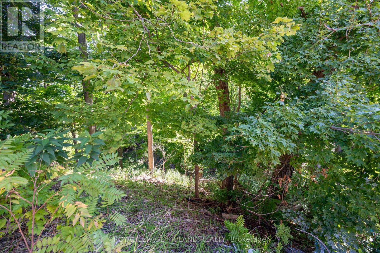 403 Tower Heights Drive, Central Elgin (Port Stanley), Ontario  N5L 1G2 - Photo 33 - X12385273