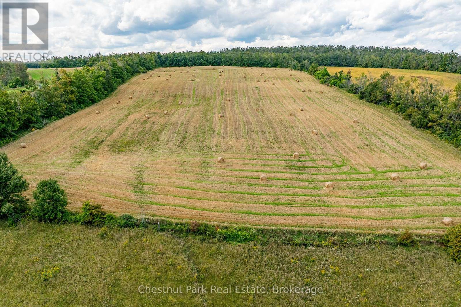 2826 Concession 8 S Nottawasaga, Clearview, Ontario  L0M 1L0 - Photo 46 - S12385213