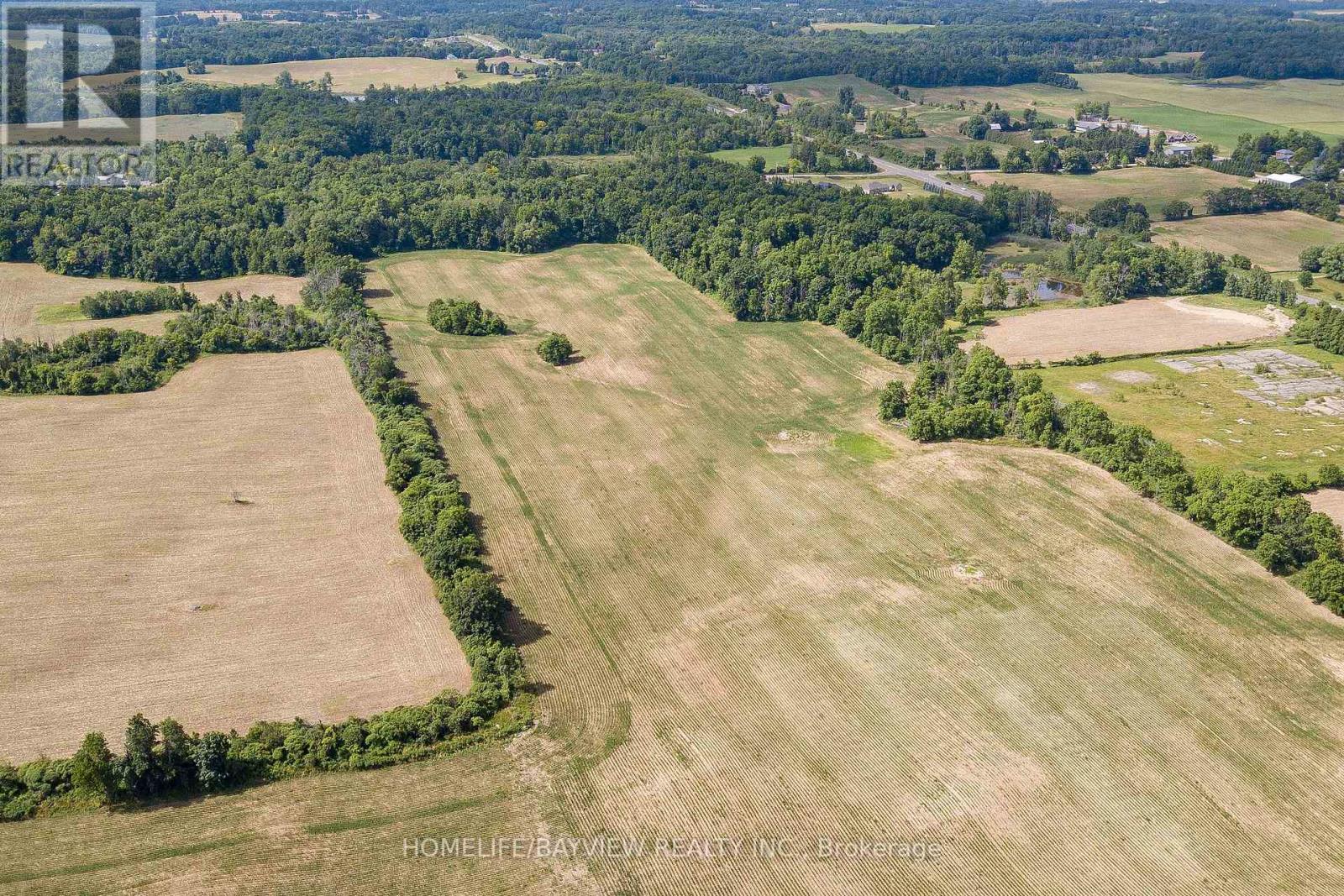 343 Blue Lake Road, Brant (South Dumfries), Ontario  N0E 1N0 - Photo 3 - X12385294