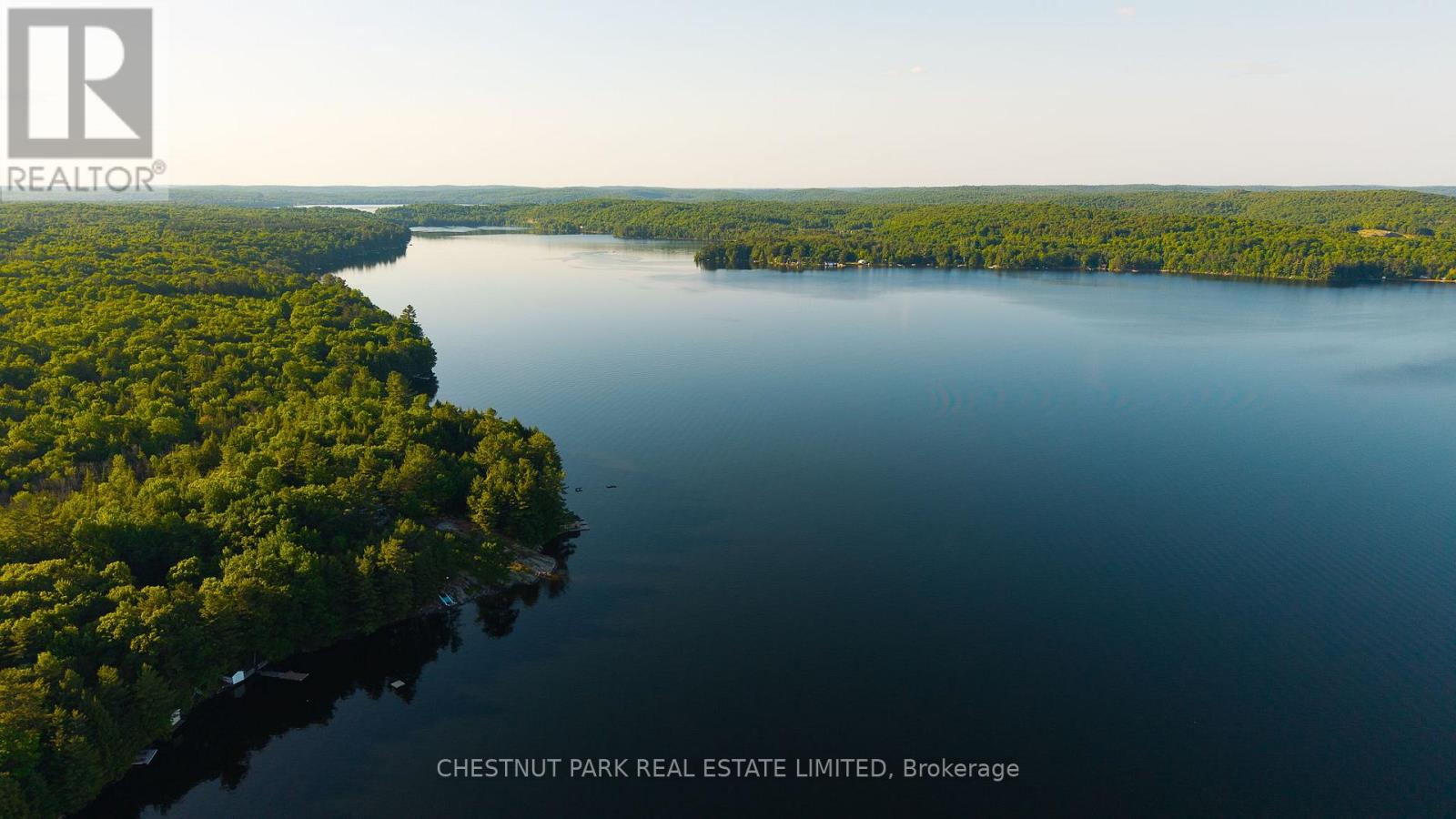 1141 & 1123 Nu-Ne Lane, Algonquin Highlands (Stanhope), Ontario  K0M 1S0 - Photo 49 - X12385462