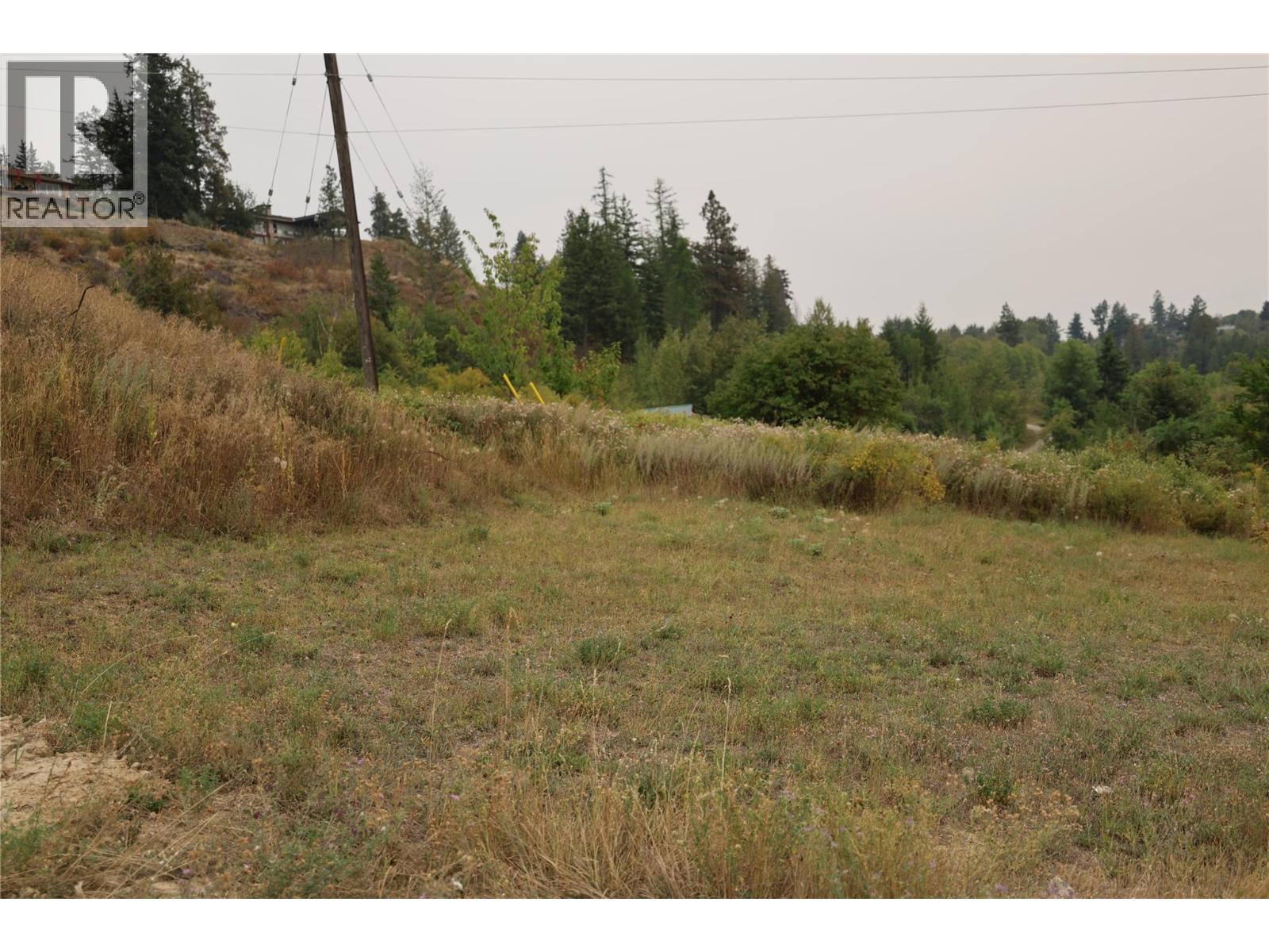1102 12th Avenue, Creston, British Columbia  V0B 1G6 - Photo 6 - 10361496