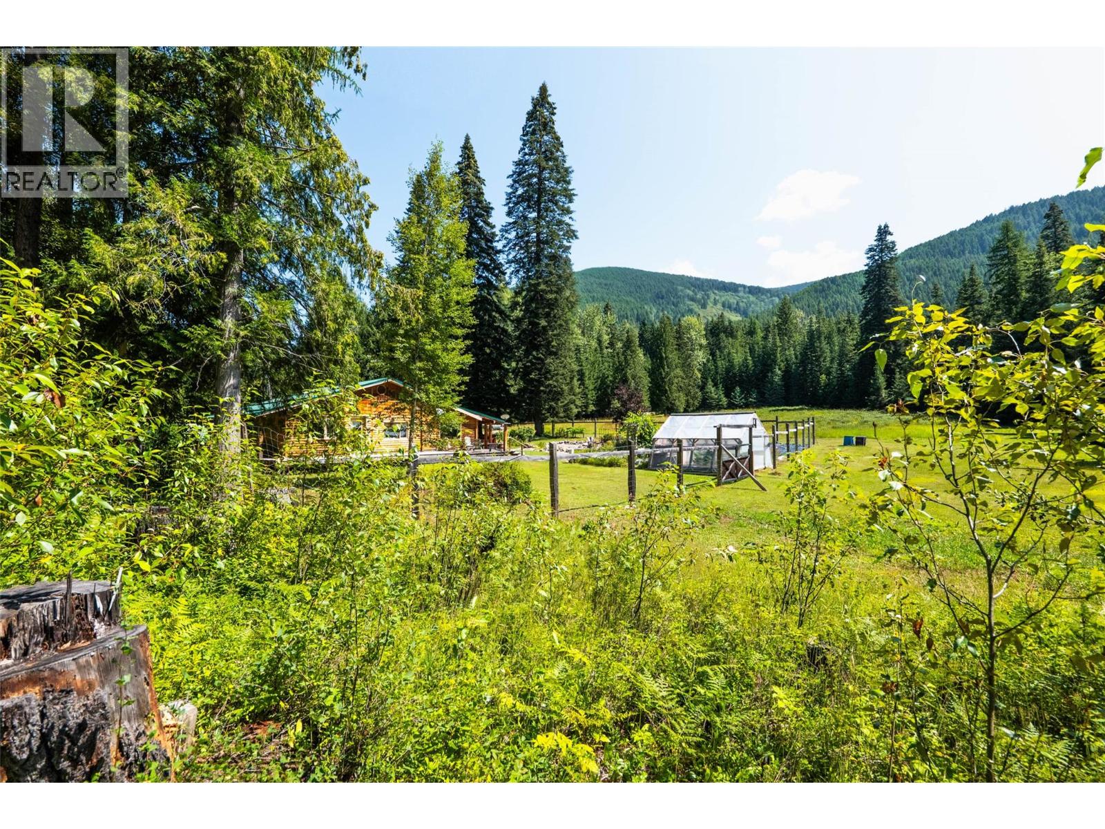 541 Bear Road, Salmo, British Columbia  V0G 1Z0 - Photo 60 - 10361590