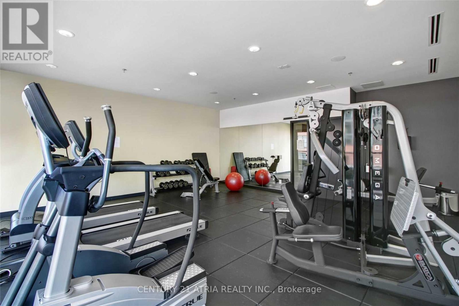 208 - 8 Dovercourt Road, Toronto, Ontario  M6J 0B6 - Photo 16 - C12385645