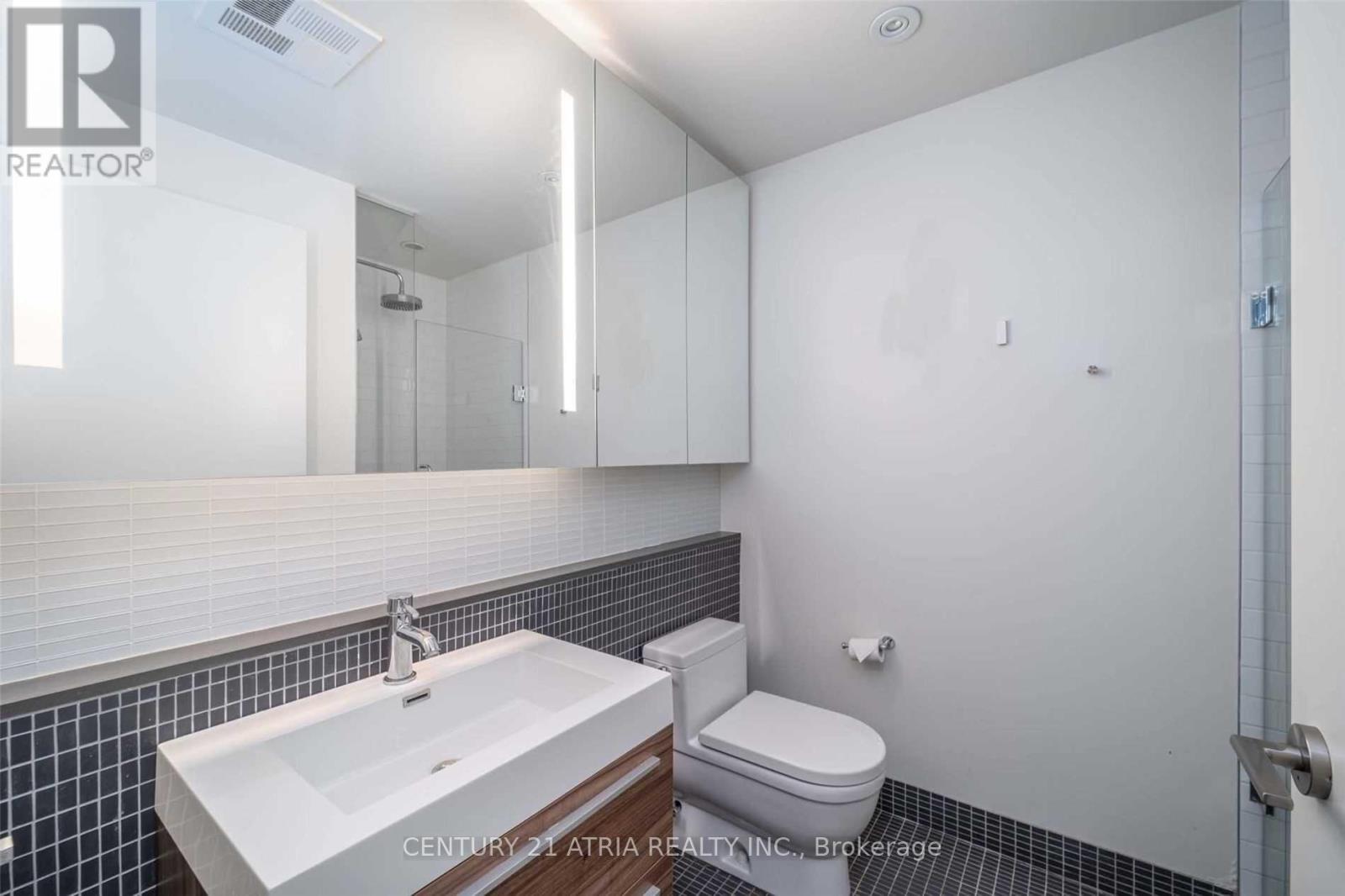 208 - 8 Dovercourt Road, Toronto, Ontario  M6J 0B6 - Photo 6 - C12385645