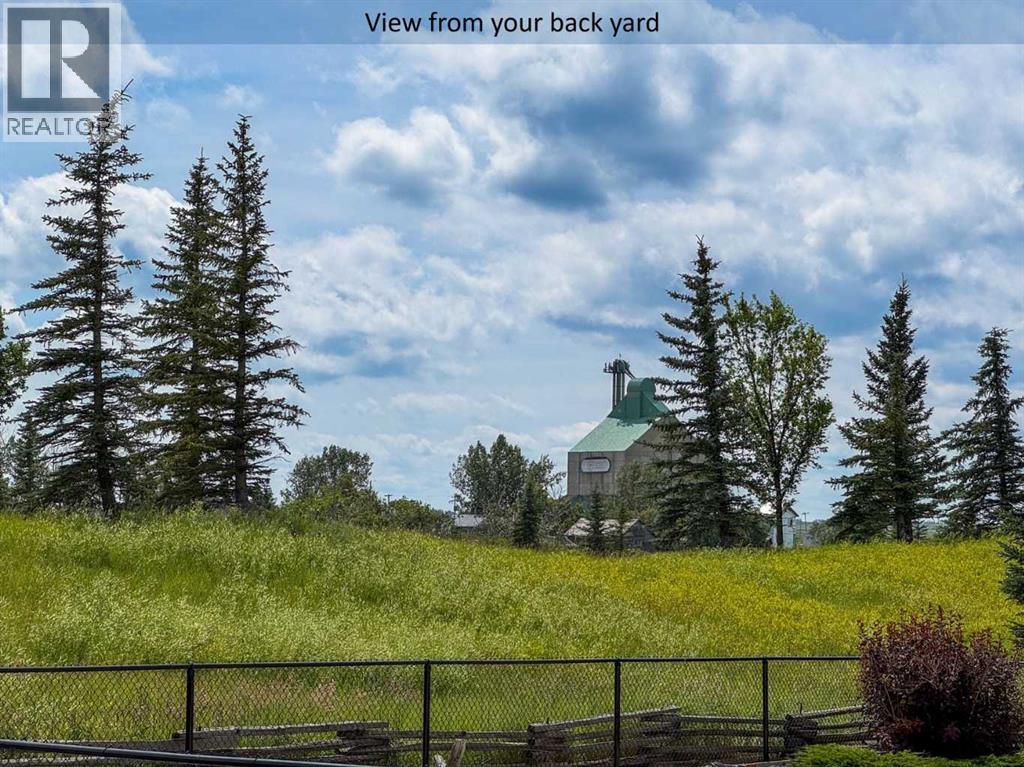 580 Muirfield Crescent, Lyalta, Alberta  T0J 1Y1 - Photo 29 - A2188817