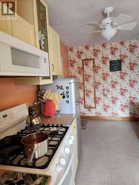 221 Center Avenue Ne, Milk River, Alberta  T0K 1M0 - Photo 6 - A2233466