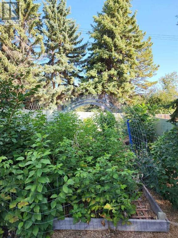 221 Center Avenue Ne, Milk River, Alberta  T0K 1M0 - Photo 32 - A2233466