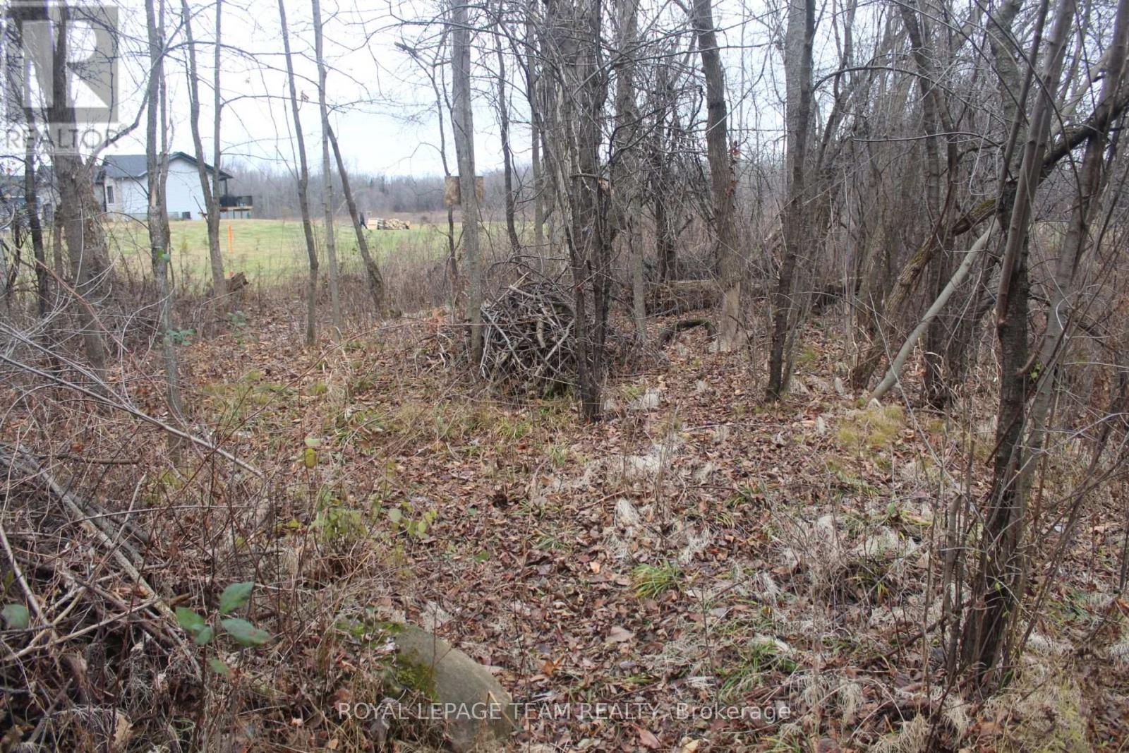 00 Maurice Street, North Dundas, Ontario  K0E 1S0 - Photo 11 - X12385736