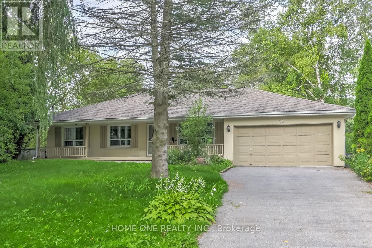Main Fl - 56 Fergus Avenue, Richmond Hill, Ontario  L4E 3C1 - Photo 2 - N12385779