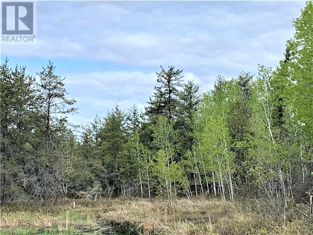 Lot 3 Bodson Drive, Hanmer, Ontario  P3P 0A8 - Photo 1 - 2124535