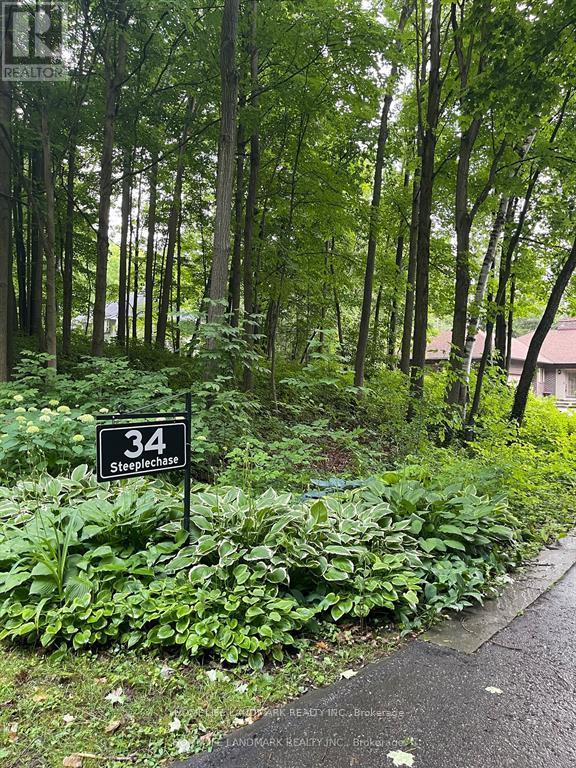 34 Steeplechase Avenue, Aurora, Ontario  L4G 6W5 - Photo 1 - N12385910