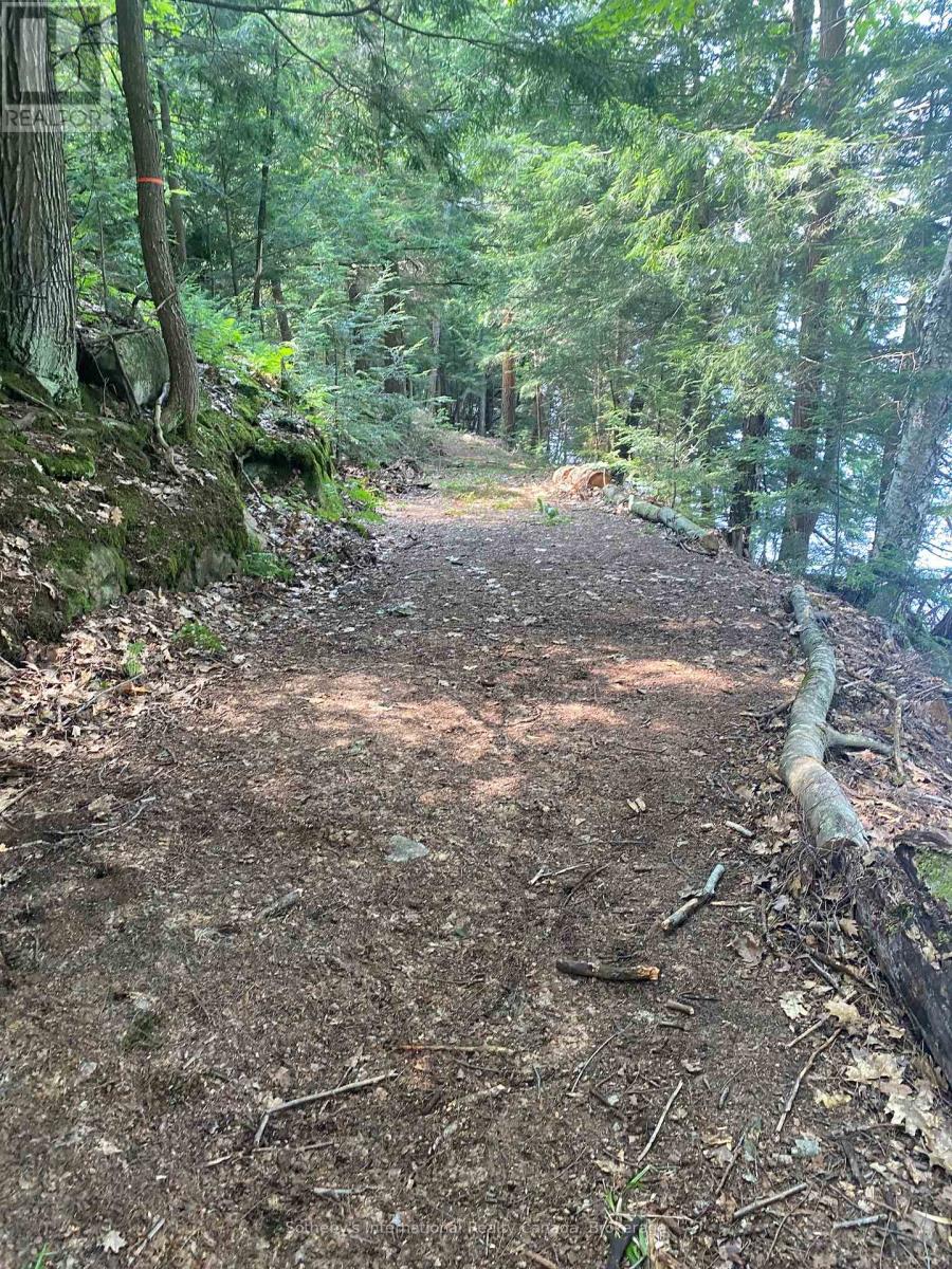 Lot C - 364 Stanley House Road, Seguin, Ontario  P0C 1J0 - Photo 13 - X12386072