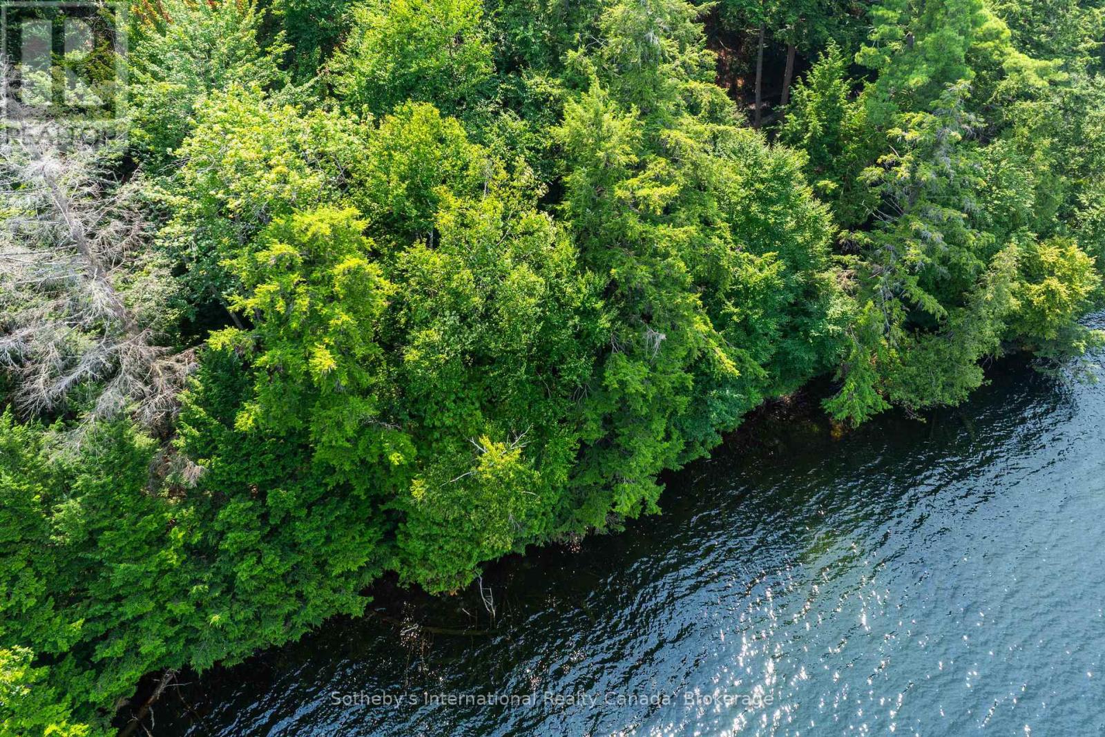 Lot C - 364 Stanley House Road, Seguin, Ontario  P0C 1J0 - Photo 20 - X12386072