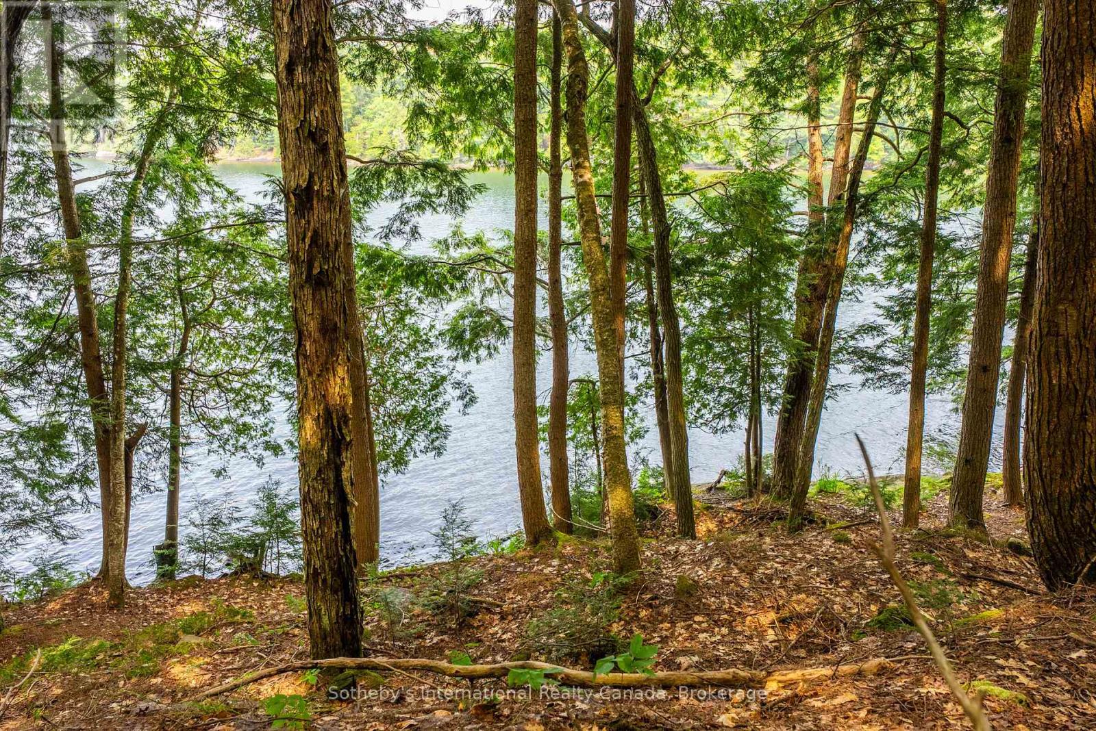 Lot C - 364 Stanley House Road, Seguin, Ontario  P0C 1J0 - Photo 32 - X12386072