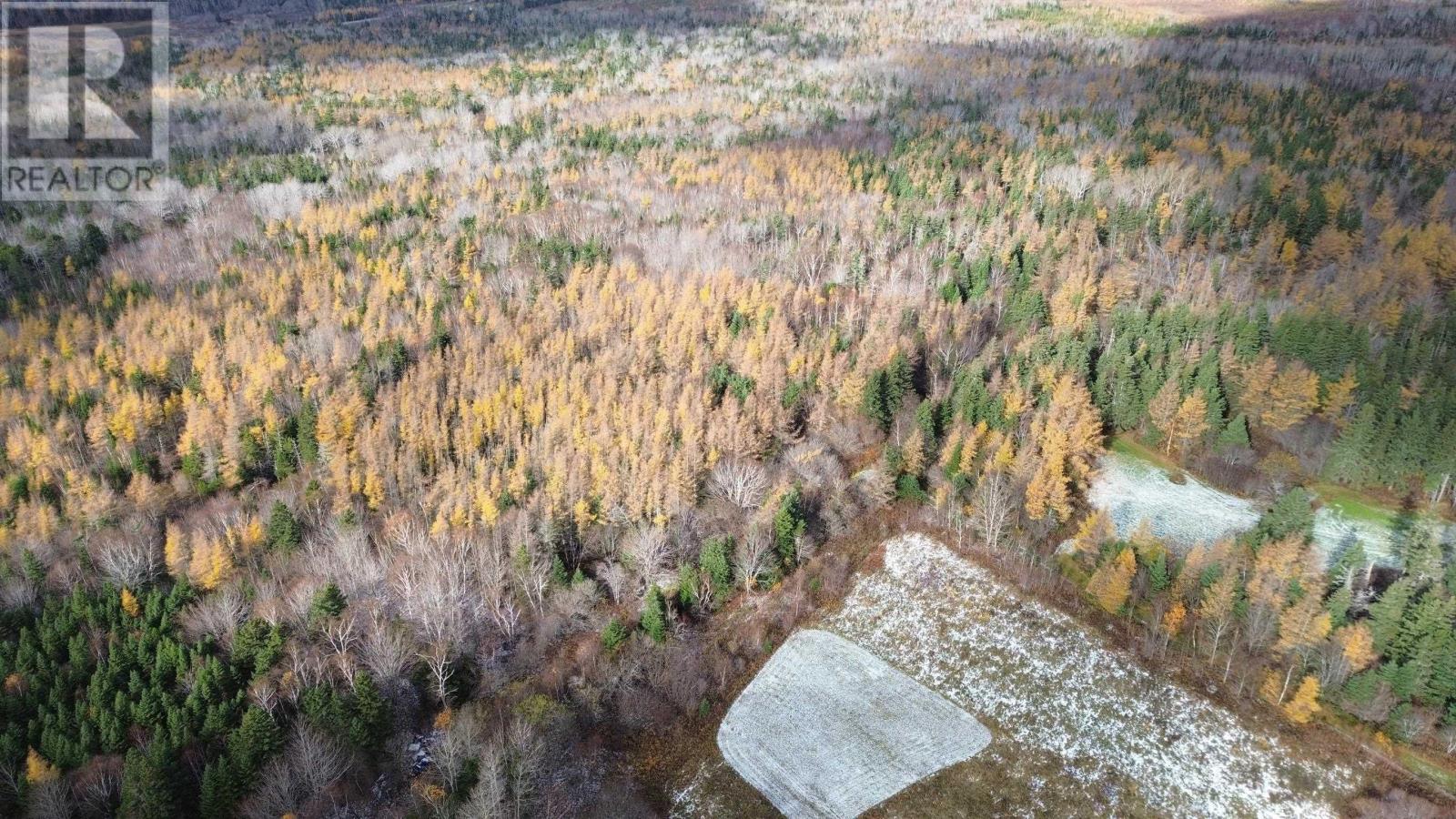 Acreage Mill Brook Road, Judique North, Nova Scotia  B0E 1P0 - Photo 11 - 202425594