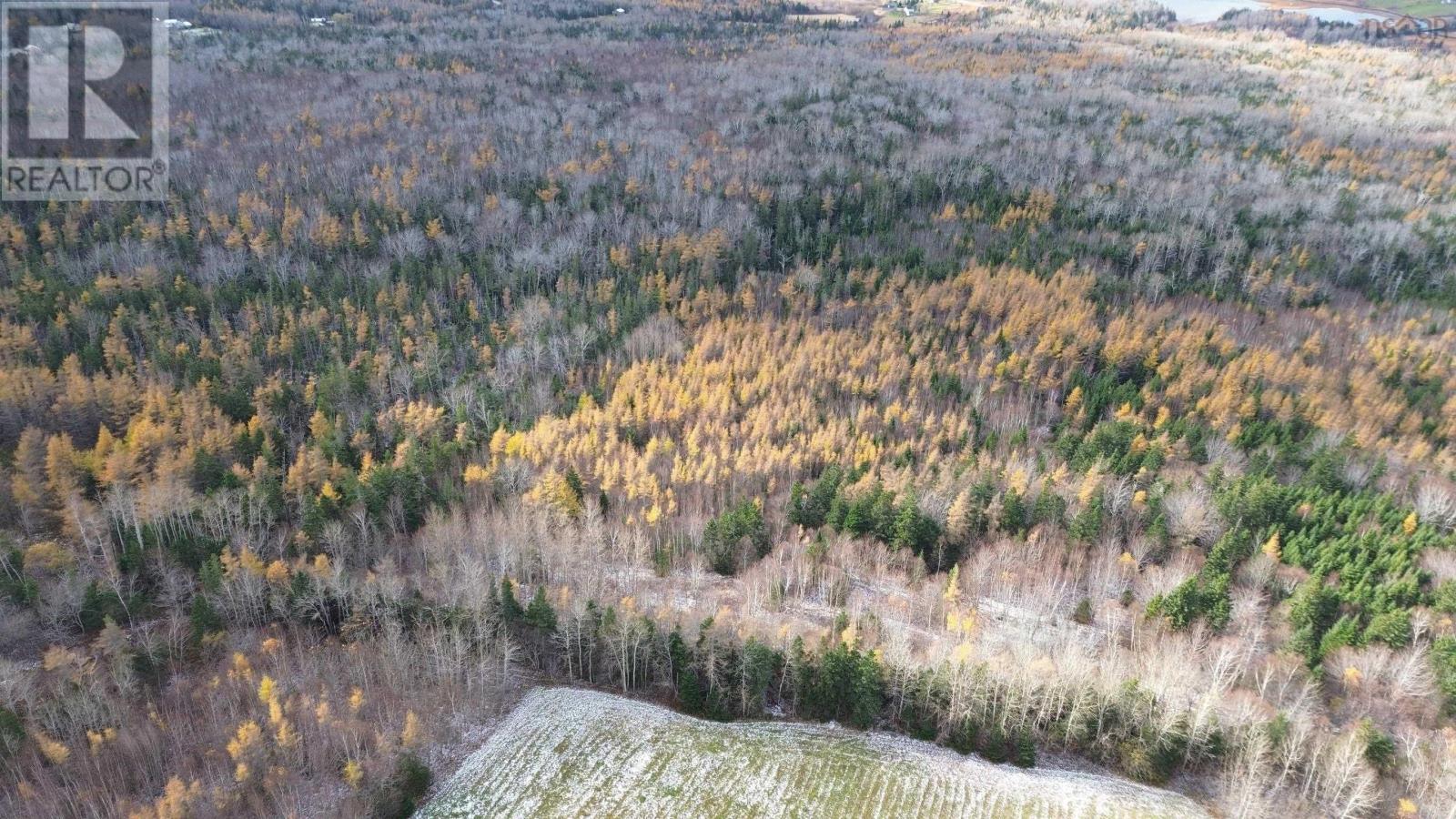 Acreage Mill Brook Road, Judique North, Nova Scotia  B0E 1P0 - Photo 3 - 202425594