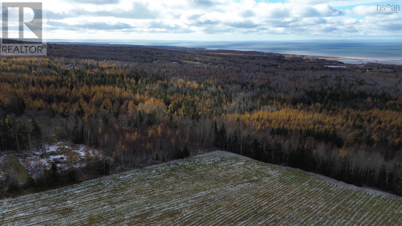 Acreage Mill Brook Road, Judique North, Nova Scotia  B0E 1P0 - Photo 12 - 202425594