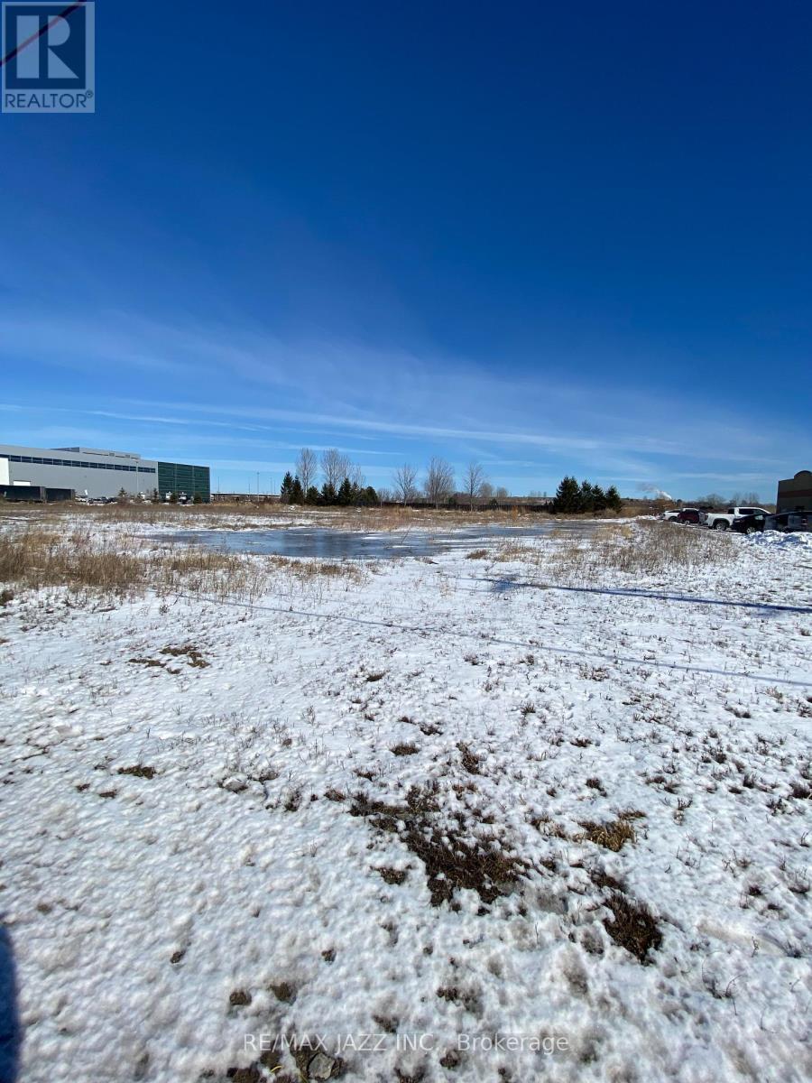 71 Osborne Road, Clarington, Ontario  L1E 0L1 - Photo 3 - E12386262