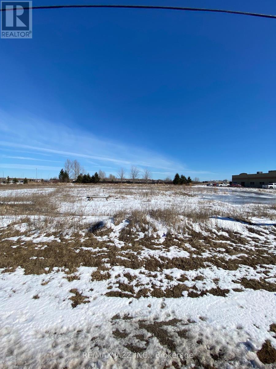 71 Osborne Road, Clarington, Ontario  L1E 0L1 - Photo 4 - E12386262