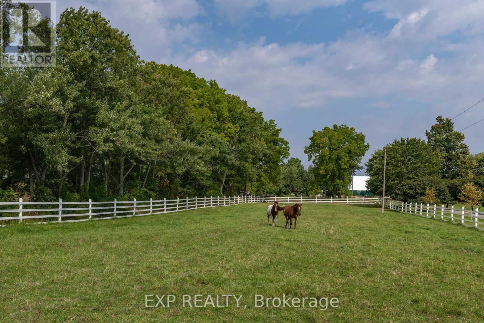 8101 Decker Drive, Middlesex Centre, Ontario  N6P 1P3 - Photo 12 - X12386304