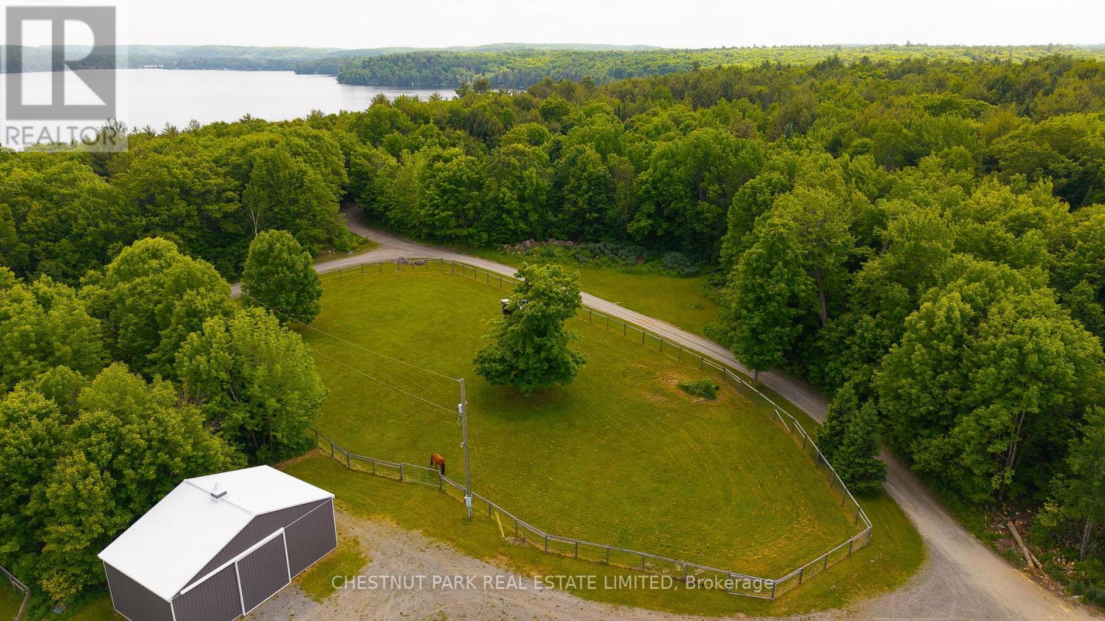 1123 Nu-Ne Lane, Algonquin Highlands, Ontario  K0M 1S0 - Photo 20 - X12386453