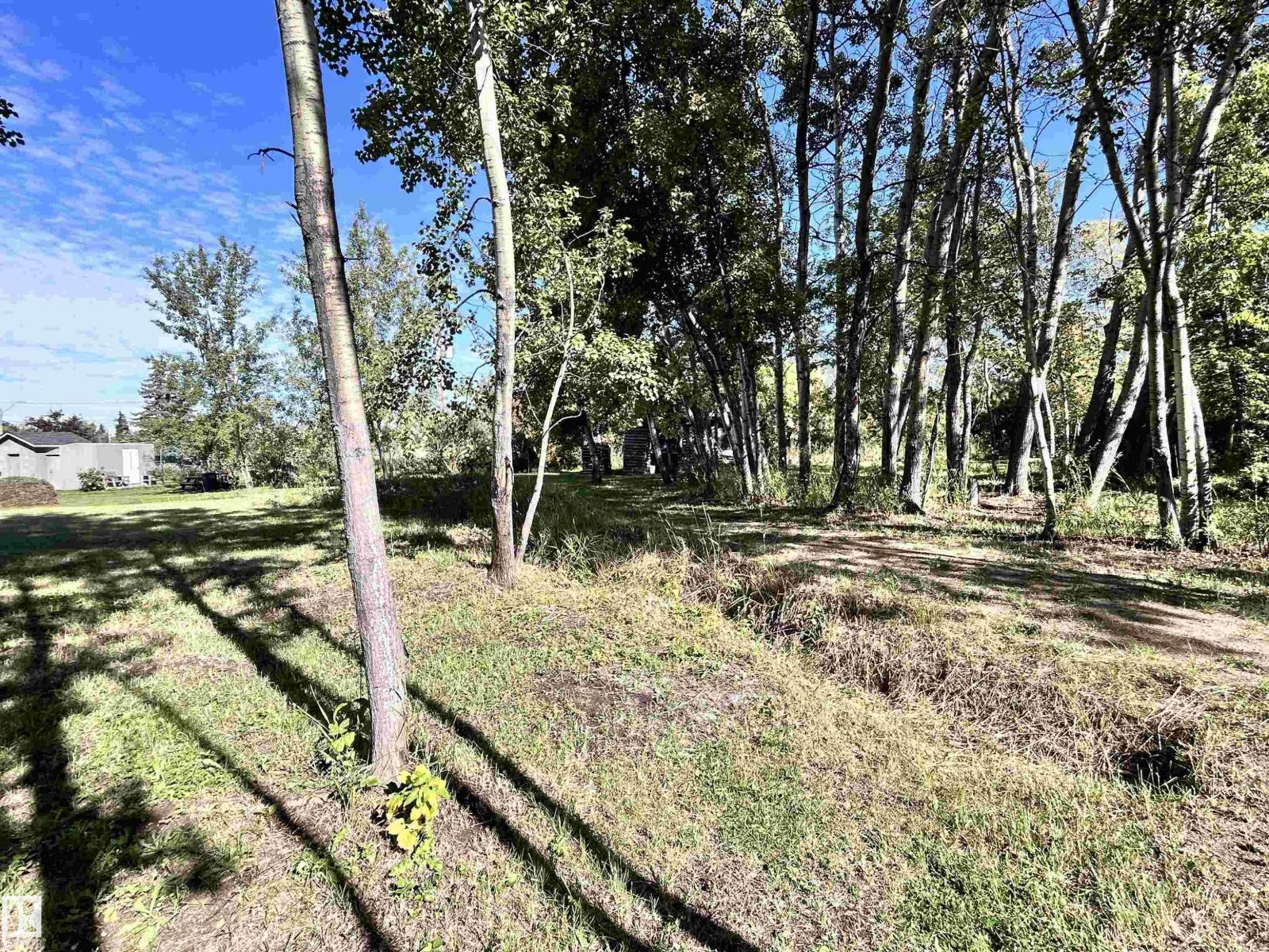301 2nd Street, Thorhild, Alberta  T0A 3J0 - Photo 34 - E4456569