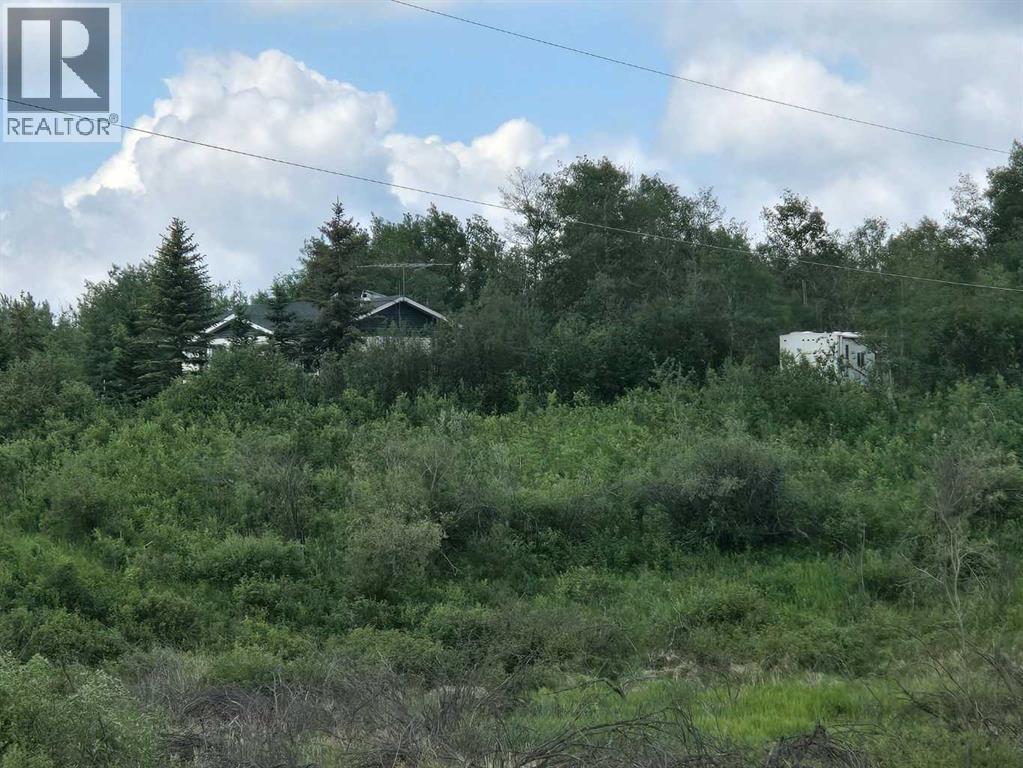 10147 Twp Rd 430b, Rural Flagstaff County, Alberta  T0B 1V0 - Photo 11 - A2252093
