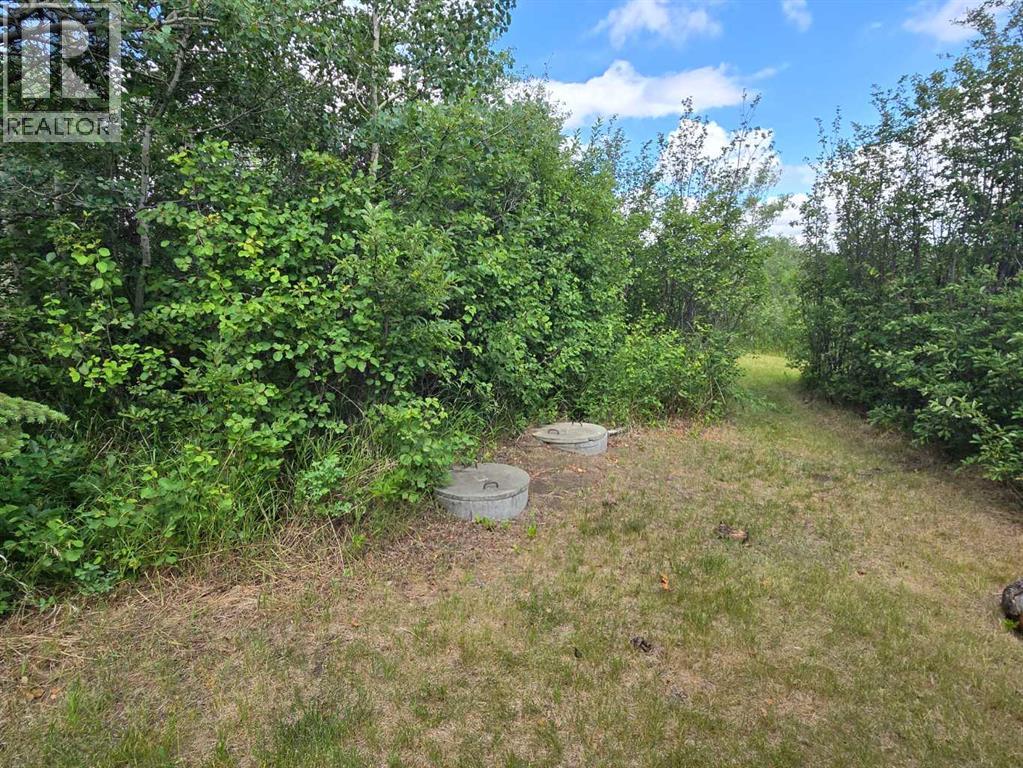 10147 Twp Rd 430b, Rural Flagstaff County, Alberta  T0B 1V0 - Photo 10 - A2252093