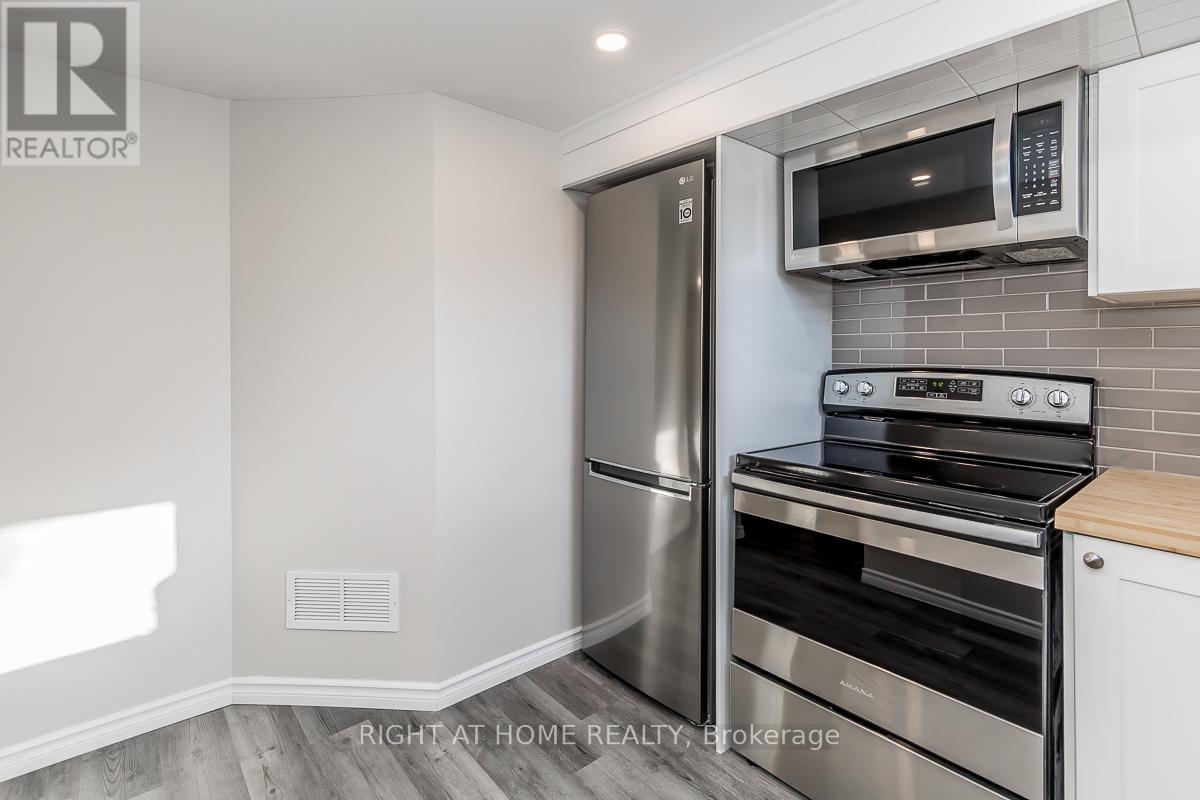 Lower - 169a Rose Street, Barrie, Ontario  L4M 2T8 - Photo 4 - S12386710