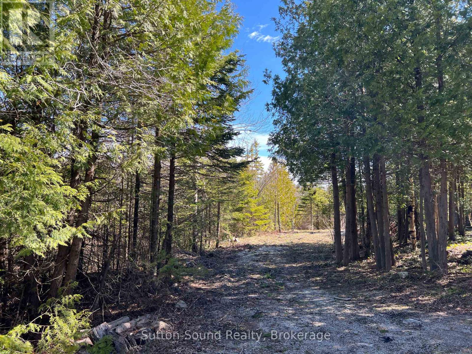 50 Harpur Drive N, Northern Bruce Peninsula, Ontario  N0H 2R0 - Photo 2 - X12166737