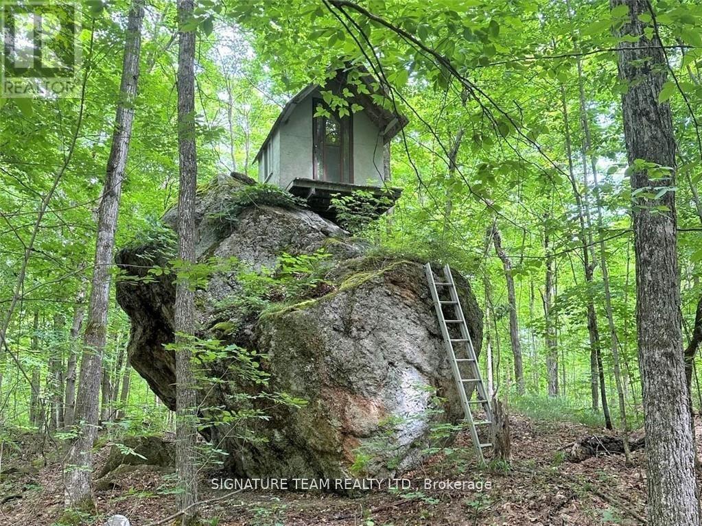 1555 Whitton Road, Horton, Ontario  K7V 3Z6 - Photo 27 - X12378842