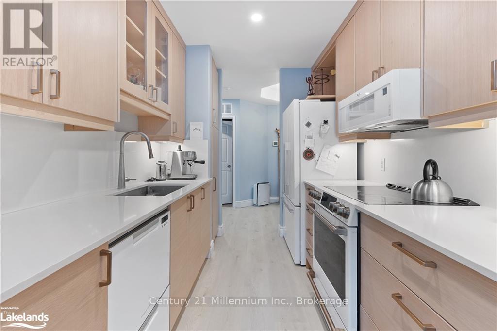 101 - 10 Bay Street E, Blue Mountains, Ontario  N0H 2P0 - Photo 17 - X12387148