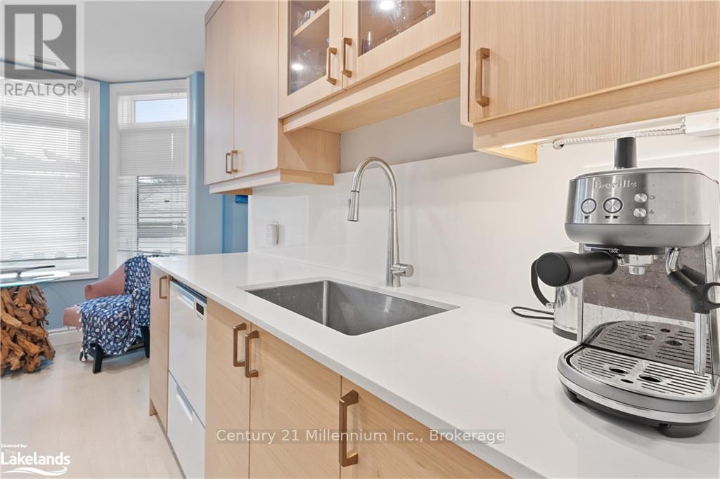 101 - 10 Bay Street E, Blue Mountains, Ontario  N0H 2P0 - Photo 20 - X12387148