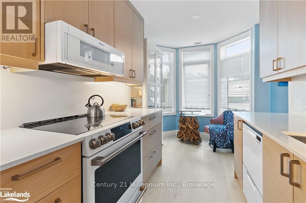 101 - 10 Bay Street E, Blue Mountains, Ontario  N0H 2P0 - Photo 21 - X12387148