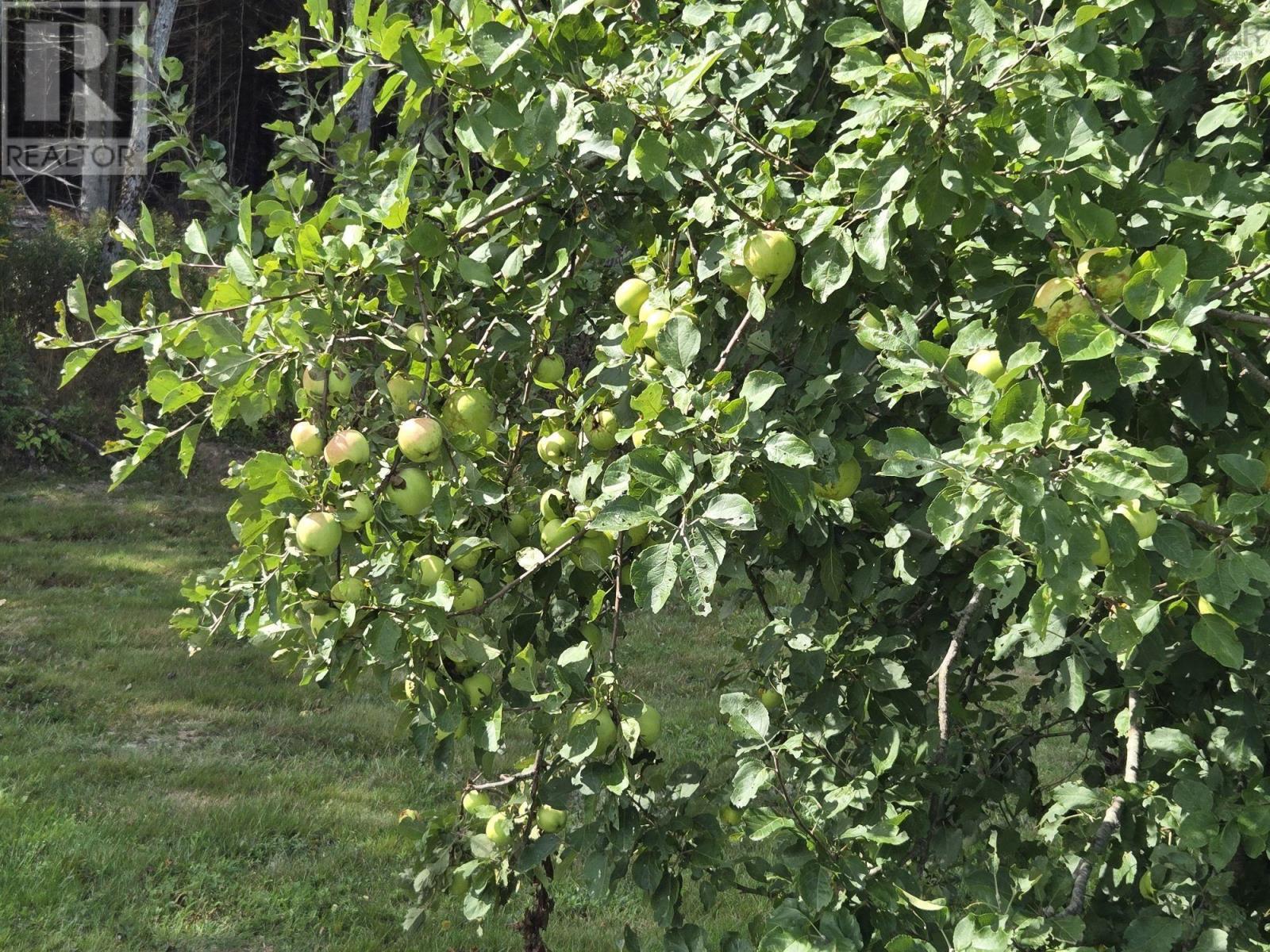 1379 Salmon River Road, L'ardoise, Nova Scotia  B0E 3B0 - Photo 30 - 202428100