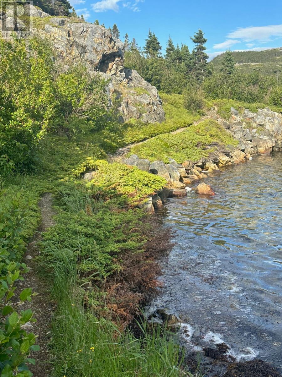 18-20 Burden's Point, Salvage, Newfoundland & Labrador  A0G 3X0 - Photo 14 - 1272204