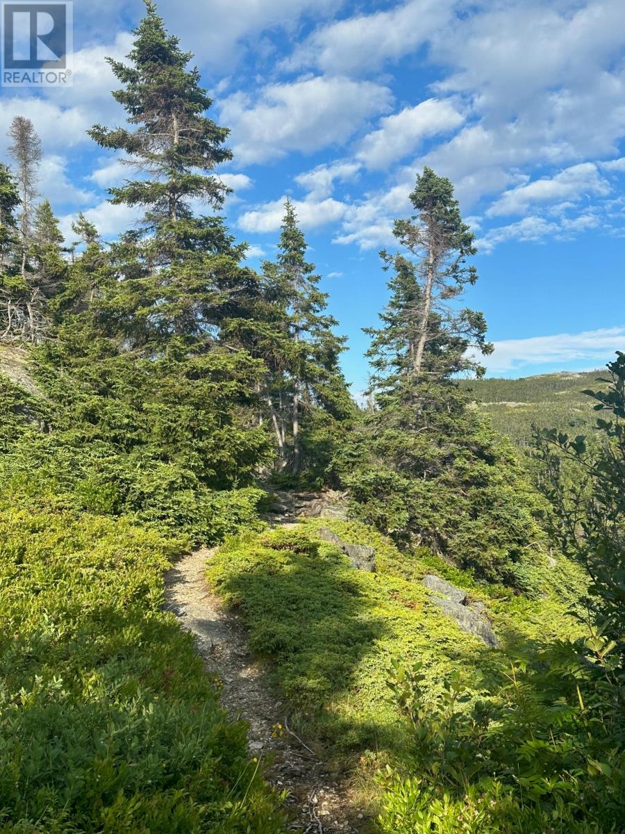 18-20 Burden's Point, Salvage, Newfoundland & Labrador  A0G 3X0 - Photo 15 - 1272204