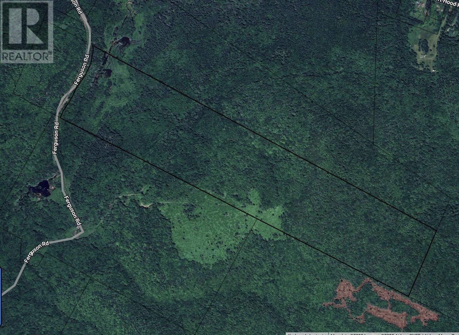 101 Ferguson Road, Kewstoke, Nova Scotia  B0E 3M0 - Photo 13 - 202515447