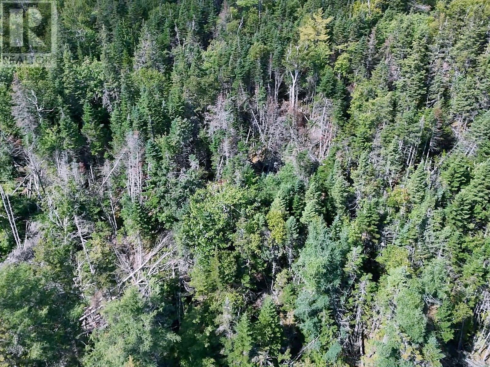 Old Louisbourg Road, New Boston Road, Albert Bridge, Nova Scotia  B1K 2P7 - Photo 2 - 202522616