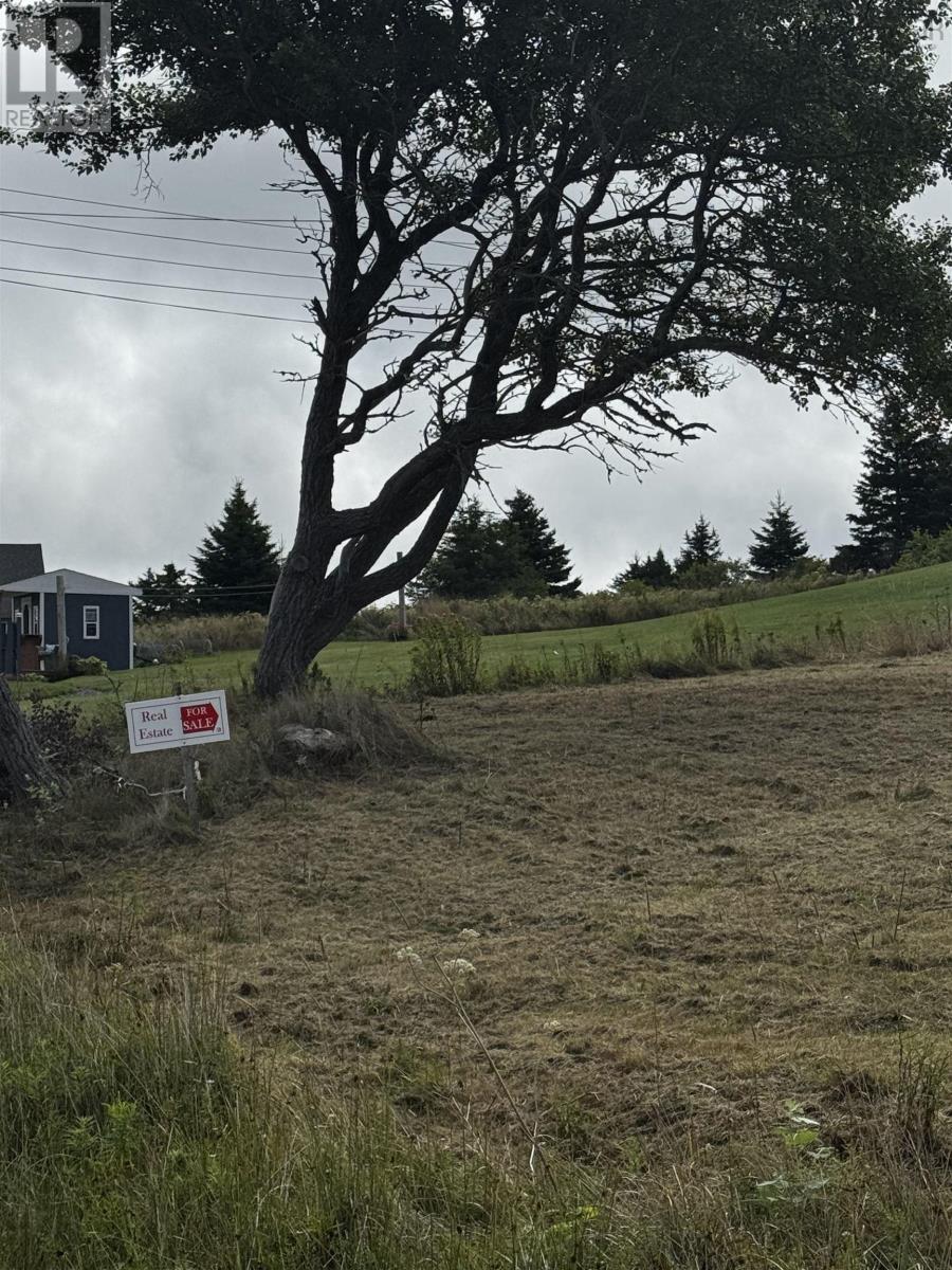 20 Hurst Street, Canso, Nova Scotia  B0H 1H0 - Photo 5 - 202522617